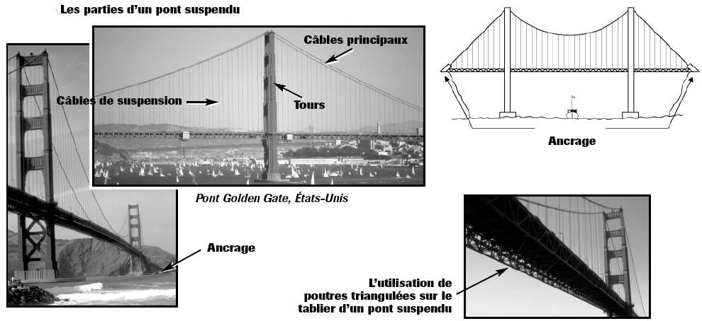 Construction et matériaux Les câbles, attachés à une haute tour, sont utilisés pour supporter le tablier du pont. Les câbles relient directement la tour au tablier.