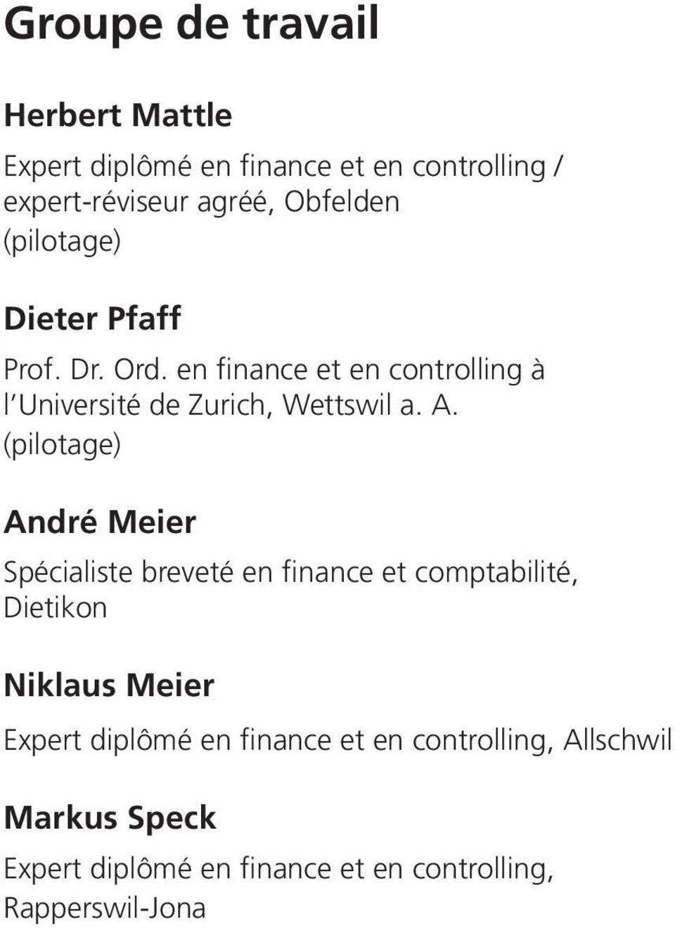 (pilotage) André Meier Spécialiste breveté en finance et comptabilité, Dietikon Niklaus Meier Expert diplômé