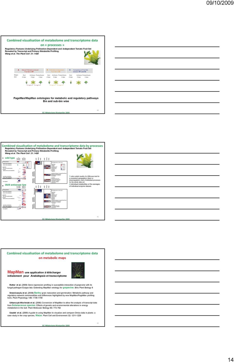 The Plant Cell : 48 PageMan/MapMan ontologies for metabolic and regulatory pathways Bin and sub-bin wise 4 Combined vizualisation of metabolome and transcriptome data by processes Regulatory Features