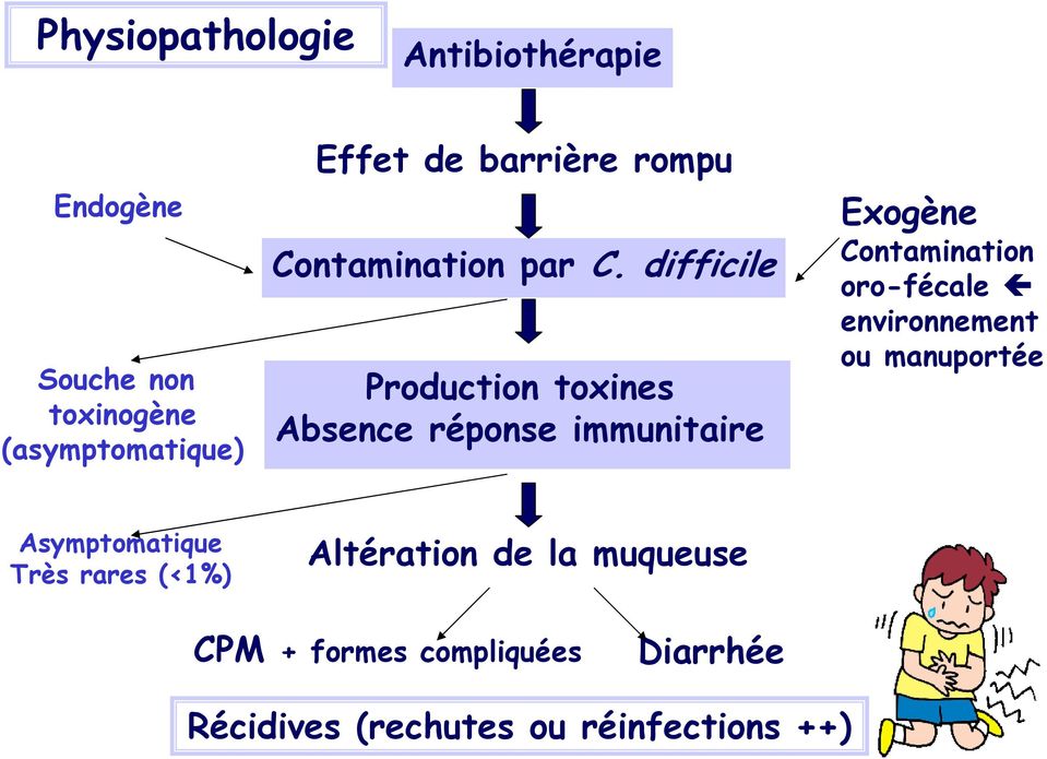 difficile Production toxines Absence réponse immunitaire Exogène Contamination oro-fécale