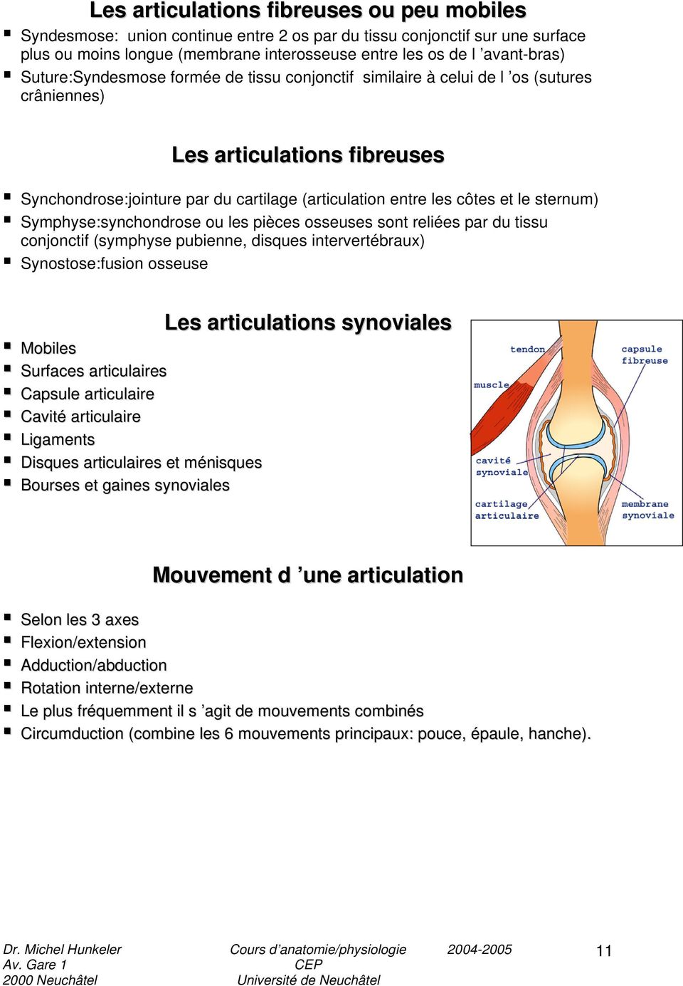 sternum) Symphyse:synchondrose ou les pièces osseuses sont reliées par du tissu conjonctif (symphyse pubienne, disques intervertébraux) Synostose:fusion osseuse Les articulations synoviales Mobiles
