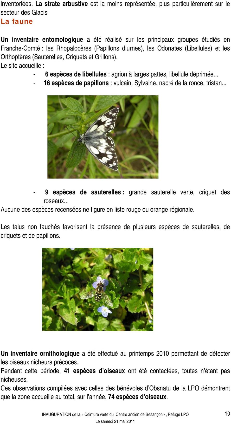 les Rhopalocères (Papillons diurnes), les Odonates (Libellules) et les Orthoptères (Sauterelles, Criquets et Grillons).