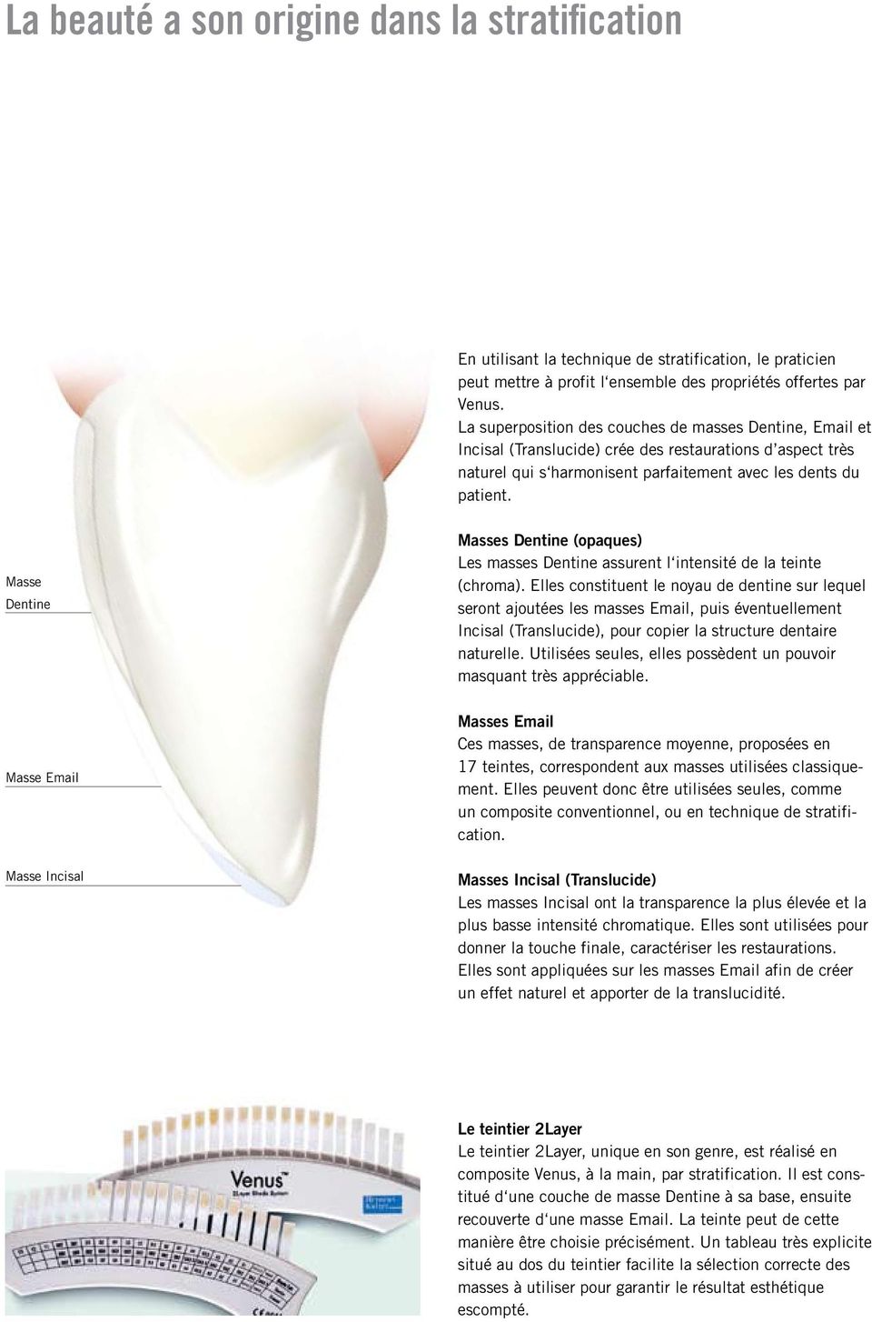 Masse Dentine Masses Dentine (opaques) Les masses Dentine assurent l intensité de la teinte (chroma).