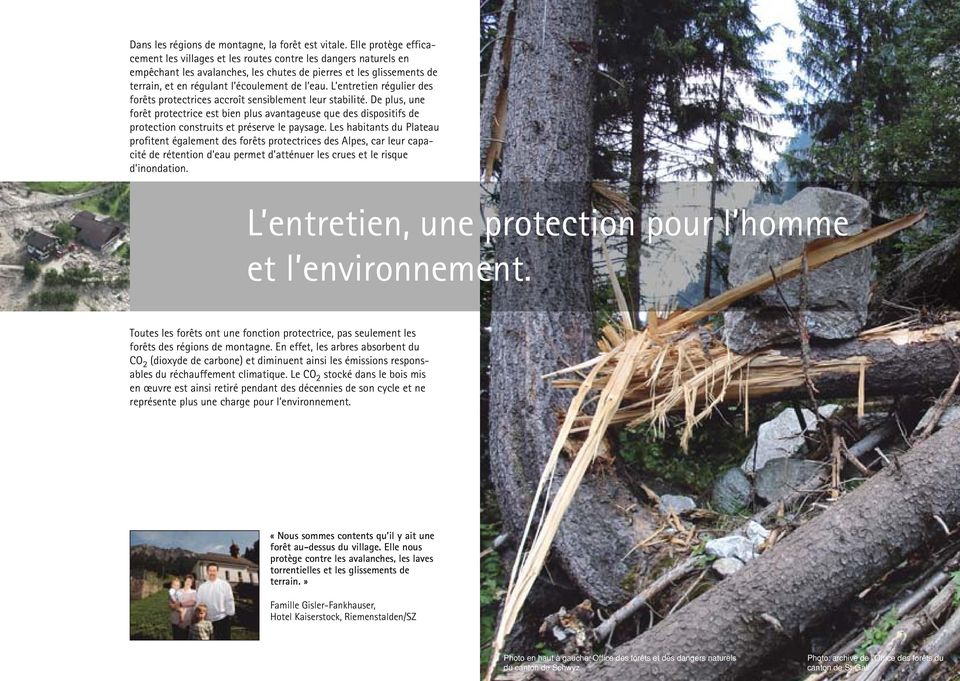 L entretien régulier des forêts protectrices accroît sensiblement leur stabilité.