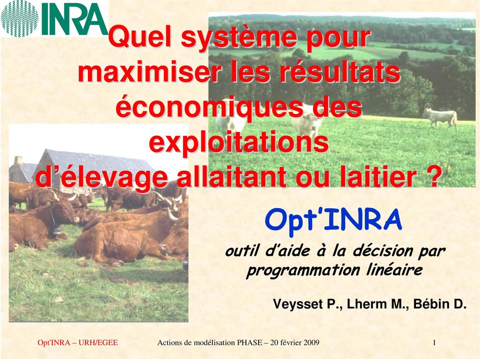 Opt INRA outil d aide à la décision par programmation linéaire