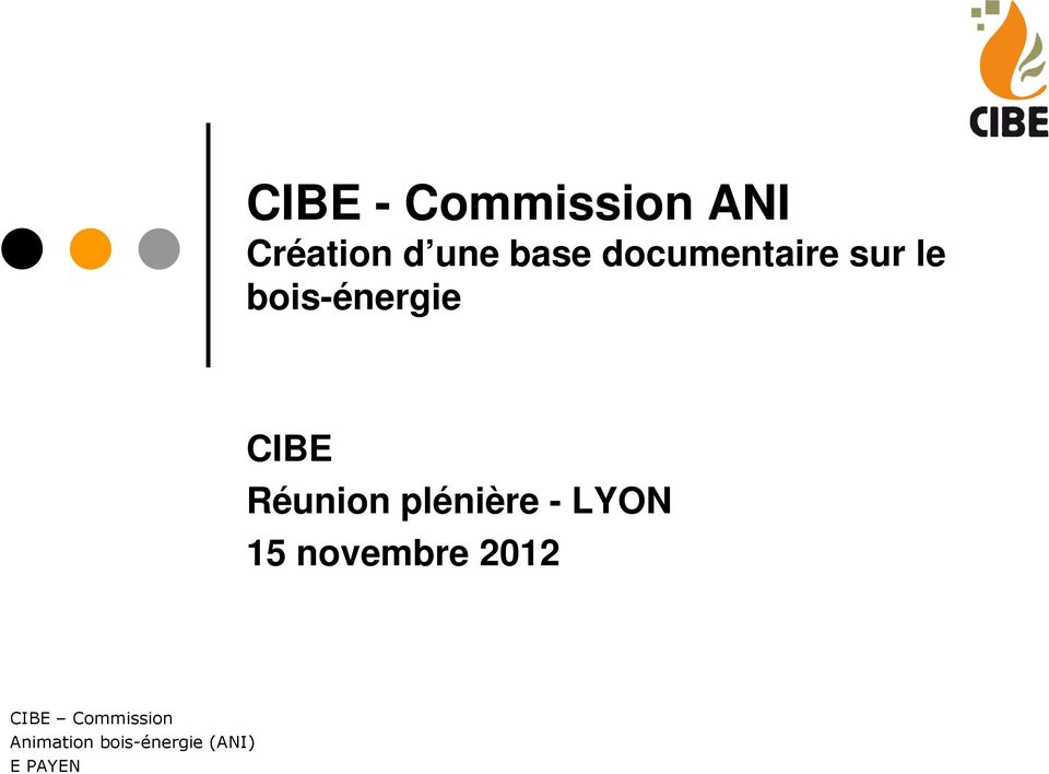 Réunion plénière - LYON 15 novembre 2012