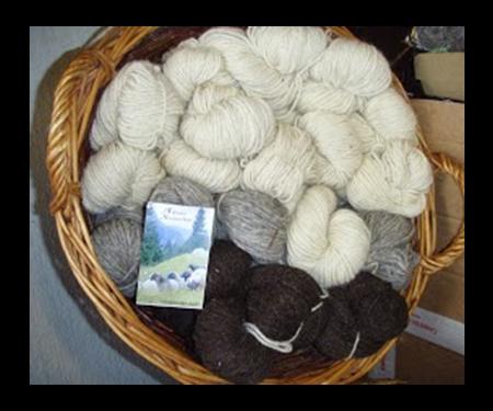 Fiche 6 : La valorisation de la laine Le circuit conventionnel : La laine est considérée comme un déchet En Champagne-Ardenne, comme dans de nombreux territoires français, la laine de mouton n est