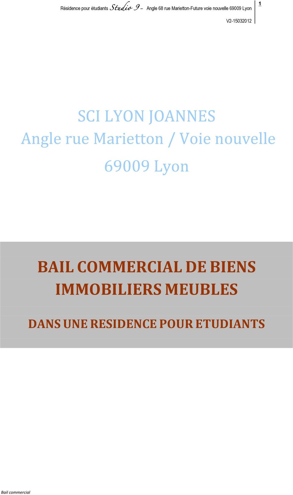 Lyon BAIL COMMERCIAL DE BIENS