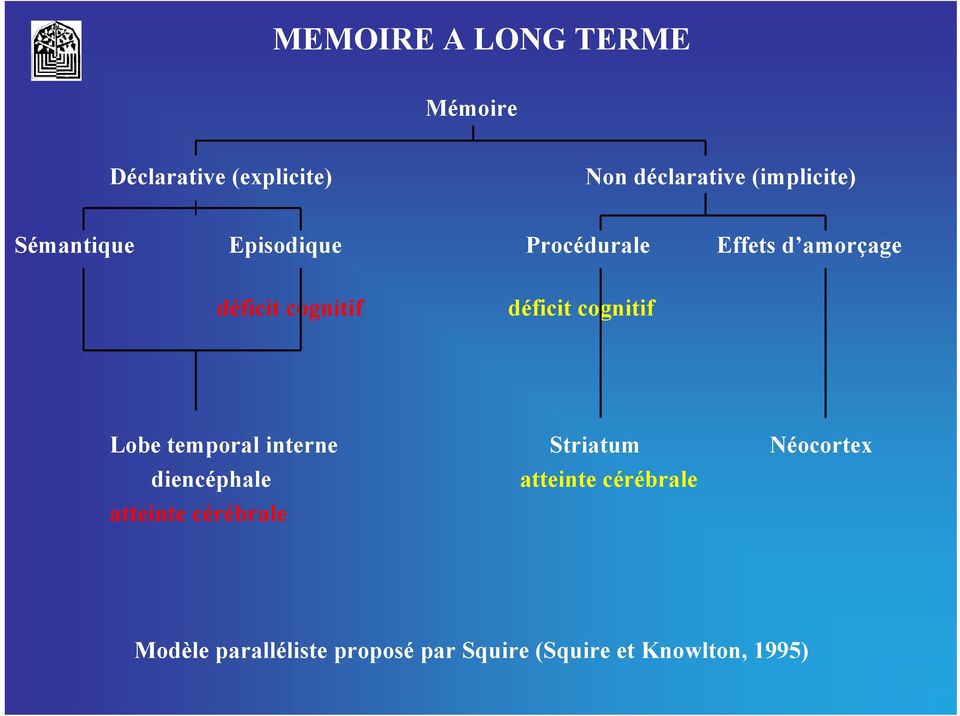 cognitif Lobe temporal interne Striatum Néocortex diencéphale atteinte cérébrale