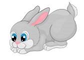 1 Le lapin de Lili Lili a un joli petit lapin gris, tout rond comme une boule. Elle lui donne du chou et des carottes. Il croque tout. Il remue le bout de son nez.
