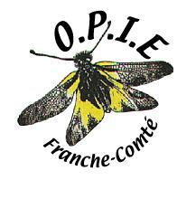 Agir en faveur des libellules en Franche-Comté Déclinaison du plan national d actions Odonates Plan régional d actions en faveur des espèces menacées 2011-2014 Version grand public
