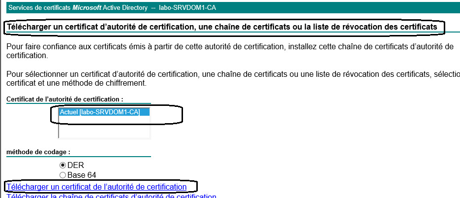Utilisation du serveur WEB Vous allez pouvoir utiliser le serveur web pour demander des certificats pour vos clients ou récupérer le certificat CA de l autorité émettant