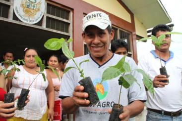 PROJET DE REFORESTATION ALTO HUAYABAMBA Rappel du contexte et des objectifs Alto Huayabamba THEMES D ACTION Développer des systèmes agroforestiers modèles permettant de produire un cacao d excellente