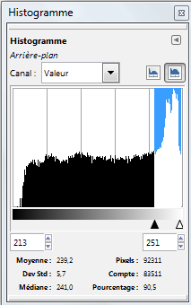 un «poids» faible des pixels sombres, dû au fait que le motif est linéaire (dessin au trait) un répartition assez égale des pixels de valeurs comprises entre 30 et 210, due à un léger «floutage»