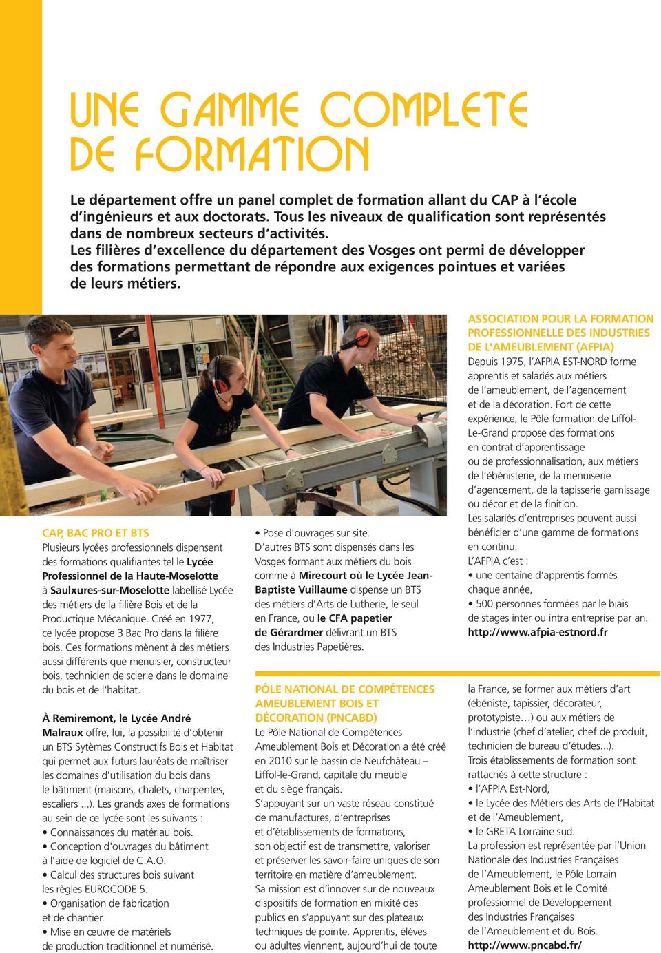 Les filières d excellence du département des Vosges ont permi de développer des formations permettant de répondre aux exigences pointues et variées de leurs métiers.