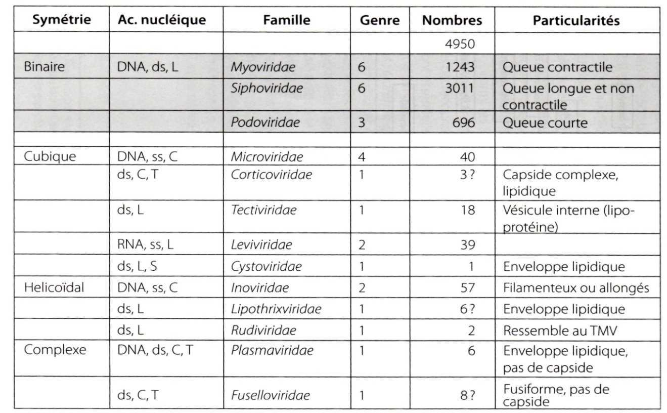 Famille des Leviviridae : Ce sont des phages à ARN monocaténaire de polarité positive, non enveloppés, sphériques et à symétrie cubique. Ils infectent les bactéries du domaine des Bacteria.
