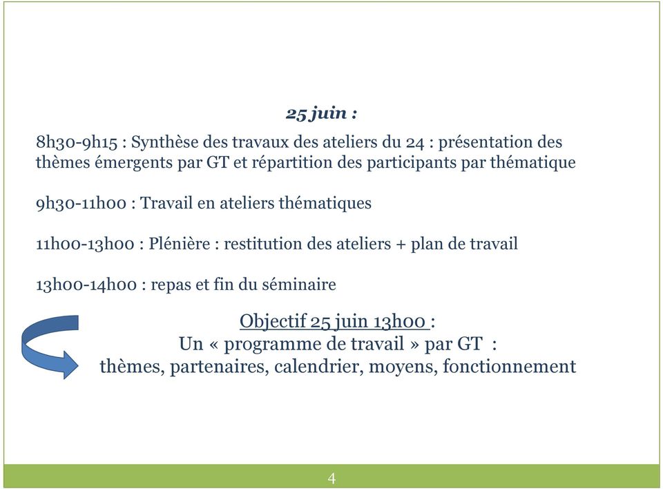 Plénière: restitution des ateliers + plan de travail 13h00-14h00: repas et fin du séminaire Objectif 25