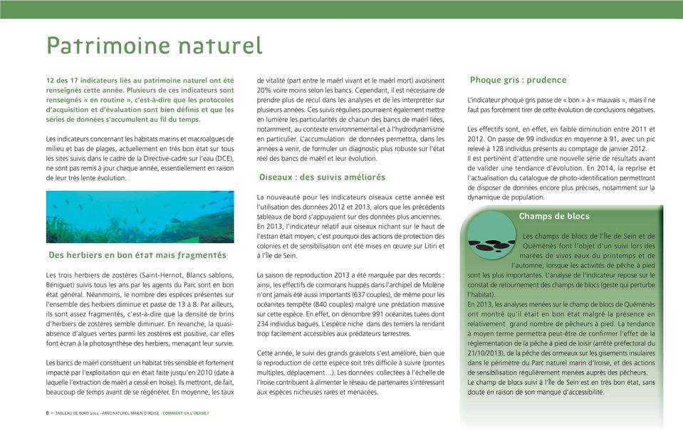 Les indicateurs concernant les habitats marins et macroalgues de milieu et bas de plages, actuellement en très bon état sur tous les sites suivis dans le cadre de la Directive-cadre sur l eau (DCE),