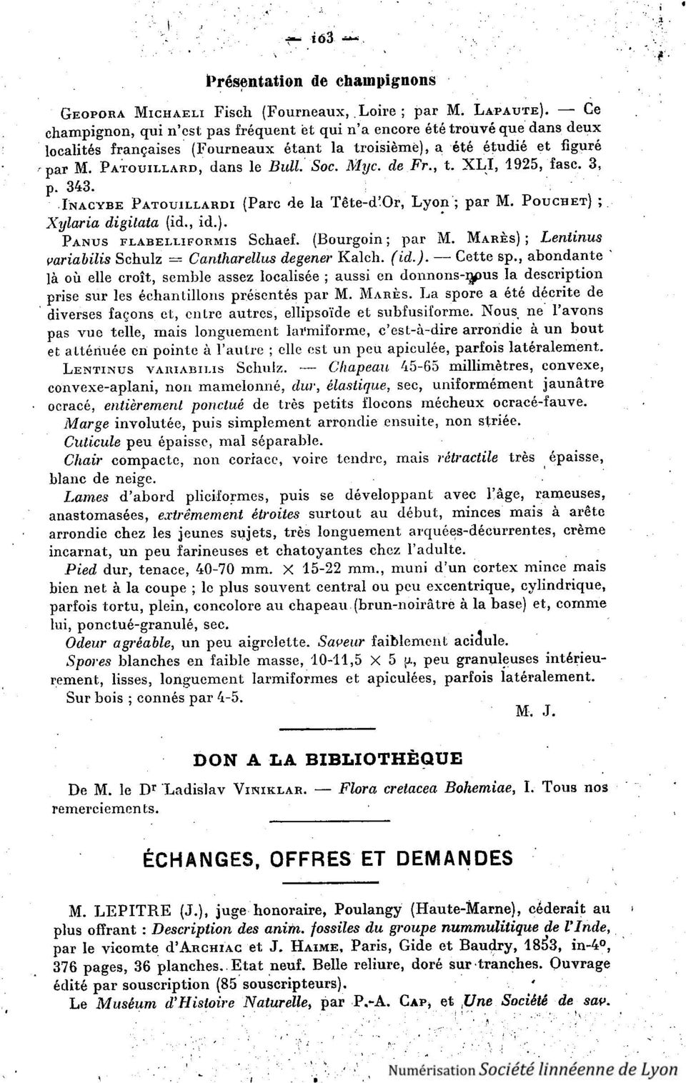 Myc. de Fr., t. XLI, 1925, fasc. 3, p. 343. INACYBE PATOUILLARDI (Parc de la Tête-d''Or, Lyon ; par M. POUCHET) ; Xylaria digitata (id., id.). PANUS FLABELLIFORMIS Schaef. (Bourgoin ; par M.
