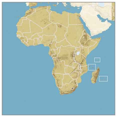 En 2009, le CICR assure une présence permanente dans quelque 35 pays d Afrique, avec 23 délégations, 6 missions et plusieurs bureaux nationaux.