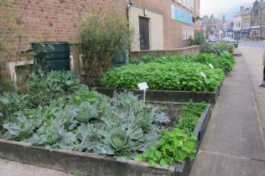 Aménagements végétaux urbains : Aussi sur l espace public!