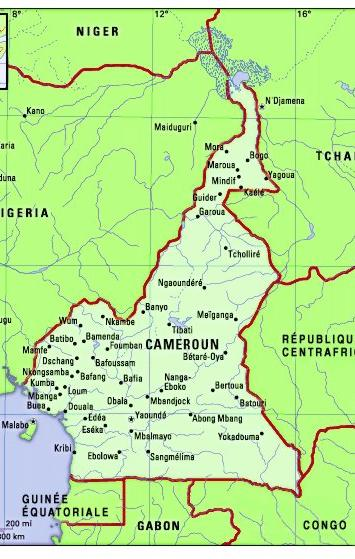 1. Présentation et Epidémiologie de la TB et VIH/Sida au Cameroun Population: 17 240 211 habitants Nb de régions administratives: 10 178 districts de santé Prévalence