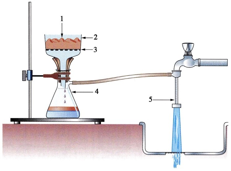 Fiche technique n 2 : Filtration sous vide 1. Prélever la solution a) Munir l entonnoir de Büchner d un cône en caoutchouc. b) Placer l entonnoir sur la fiole à vide.