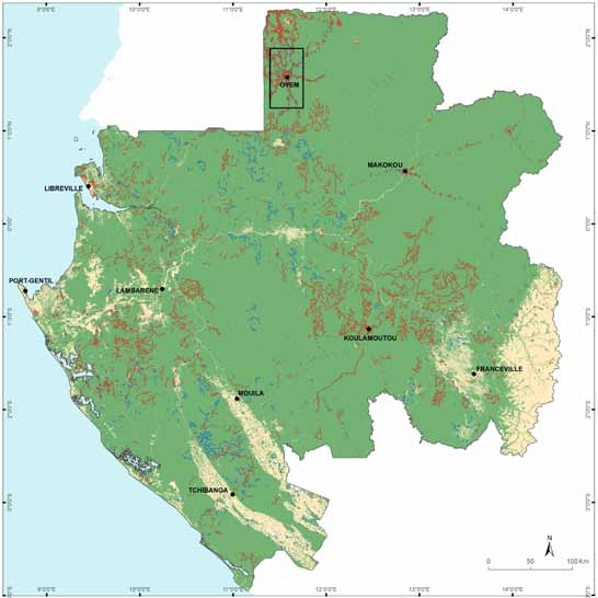 Cette section détaillera ensuite les initiatives de cartographie nationale uniquement pour le Gabon, le Cameroun, le Congo et la RCA car la cartographie de la RDC (FACET) a déjà été publiée dans l