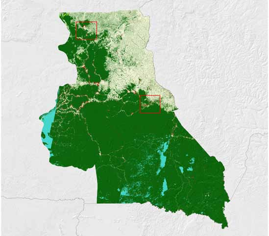 2.2 Cameroun Une couverture nationale complète d images satellites Landsat de 1990 et 2000, et DMC de 2005/2006 a été