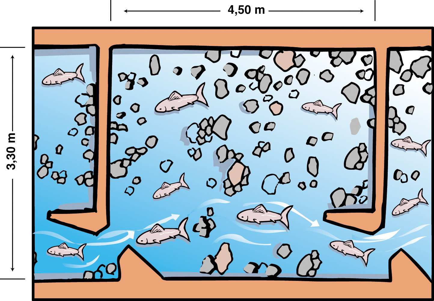 Descriptif : les bassins Après franchissement de chaque fente, les poissons aboutissent dans une zone où ils peuvent se reposer : ce sont les bassins.