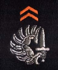 insignes de collet métalliques fond : orange attribut : demi-vol armé brochant un cercle des extrémités, le tout