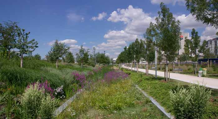Parc Clichy Batignolles Le canal urbain La création d un canal vers la Seine, prolongé par une série de bassins en