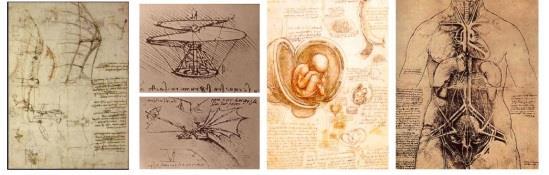 Réponses attendues : artiste et savant (ingénieur, musicien, architecte, astronome, sculpteur) Léonard de Vinci est l un des plus grands artistes de la Renaissance.