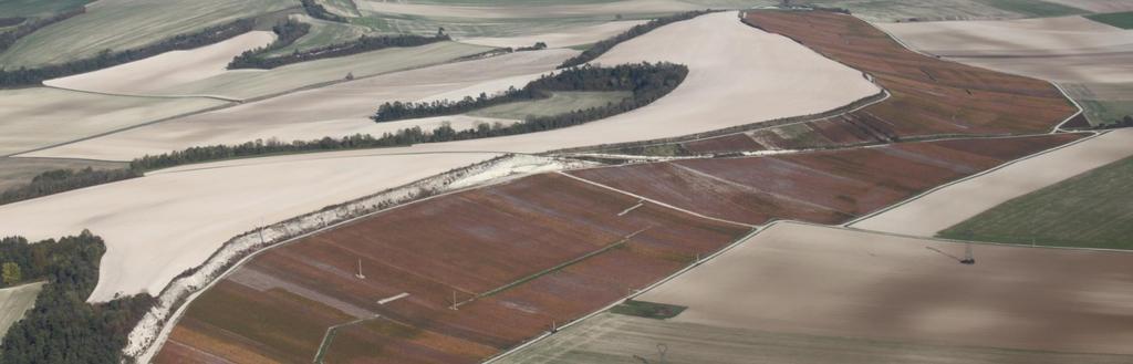 Un terroir singulier Située dans le Sud-est du département de la Marne, les Coteaux Vitryats abritent un vignoble de 480 hectares réparti sur seulement 15 communes.