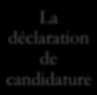 CSP, profession et remplaçant désignation du canton signatures des 2 candidats DÉCLARATION DE
