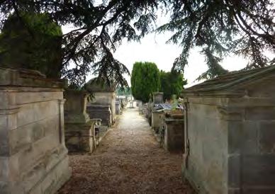 Pourtant, les silhouettes des conifères sont caractéristiques des cimetières du Pays Ouest Charente.