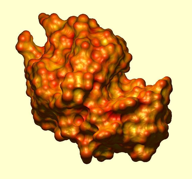 Glu35 Asp52 Crevasse du site actif Cycle D en conformation demi-chaise Coupure par le lysozyme PDB 1HEW Le site de clivage, situé