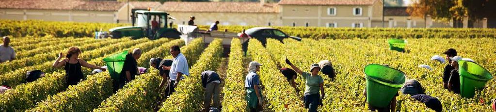 MISSION DU CIVB Pour répondre aux multiples enjeux et aux profondes mutations présentes et à venir, la filière des vins de Bordeaux s est engagée à : Renforcer son effort dans l amélioration et la