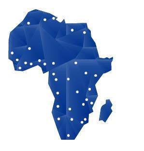 bureaux africains proposant toute leur connaissance des problématiques propres à chaque marché Un conseil de réputation internationale innovant et sur mesure grâce à la combinaison de nos expertises