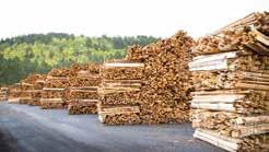 Cette question doit être abordée en relation avec les pays en provenance desquels les bois sont importés, et en particulier le pays de récolte.