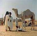 et Wolof Sahara Occidental Mali Langues de travail: Arabe et Français