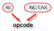 L octet de modr/m (modr/m pour Mode Register / Memory), s il est présent (c est un octet optionnel), suit directement l octet d opcode. Il permet notamment de définir : - Une référence registre.