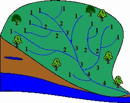 2.3.2.1. Ordre des cours d eau Classification des cours d eau est facilitée par un système de numérotation des des tronçons de cours d eau.