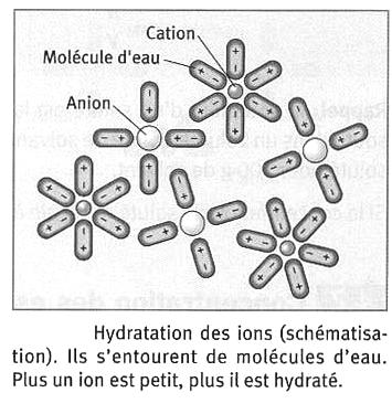 2- Cas particulier du proton H + Le proton H + se lie à une molécule d eau afin de former une liaison covalente. On obtient ainsi l ion oxonium qui est lui même entouré de molécules d eau.