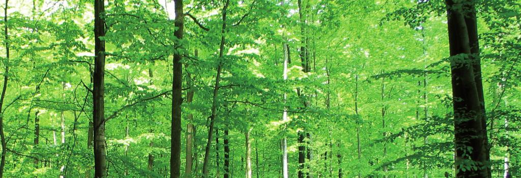Votre spécialiste du bois bûche de qualité Alsace Bois Bûche est une démarche de qualité Association des Maires