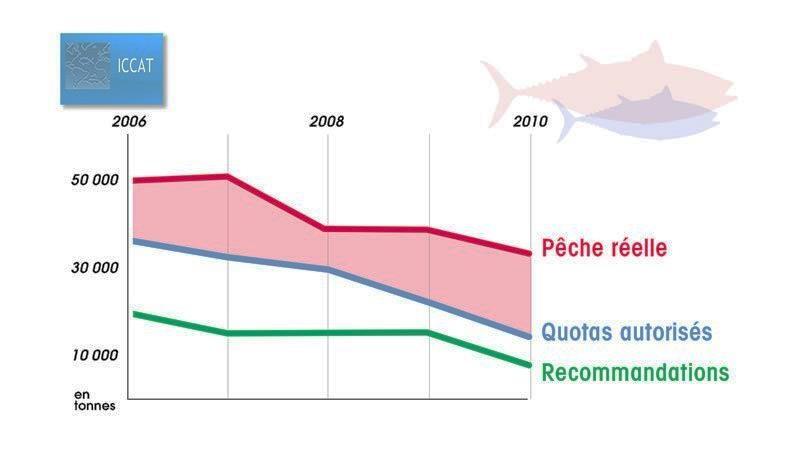 Pêche du thon et recommandations de 2006 à 2010 : données de la Commission Internationale pour la Conservation des Thonidés de l'atlantique - CICTA (Source : Le Dessous des Cartes) La Commission des