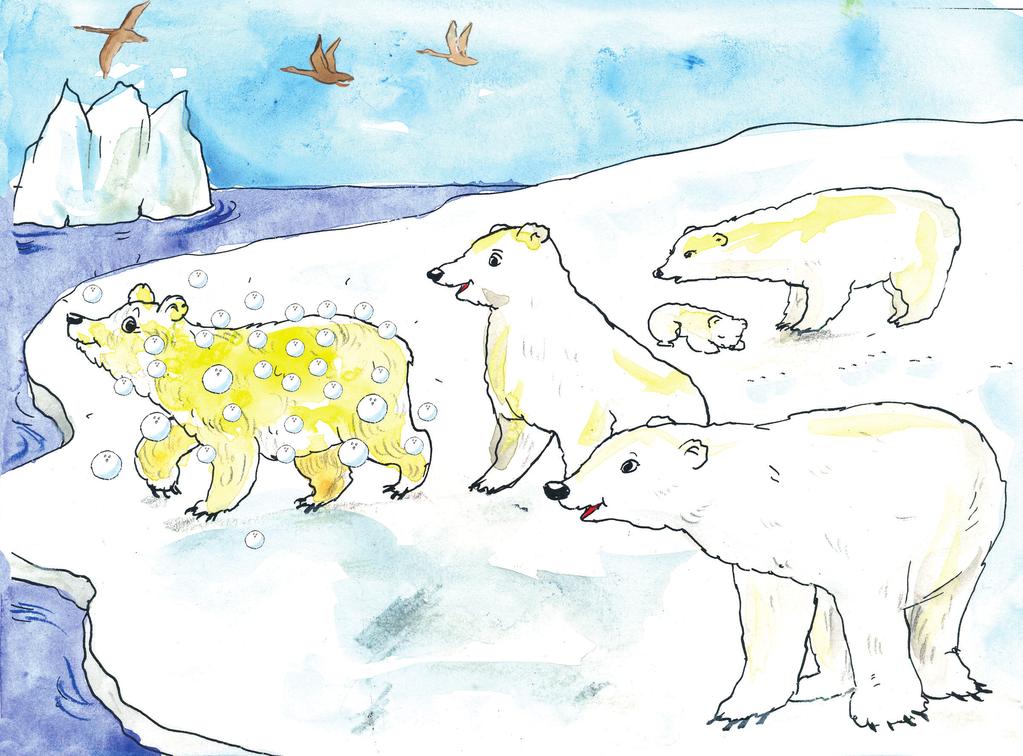 Martinot est maintenant tout blanc. Les autres ours le regardent avec admiration. Qu il est joli, cet ours! Oh, attention! La montagne de glace se dirige vers notre banquise! Mon petit, réveille-toi!