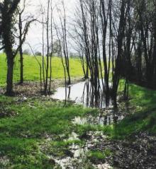 agricole, drains et fossés