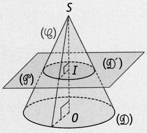 La setion d un ône de évolution pa un plan paallèle à sa base est une édution de la base. (C) est un ône de évolution de sommet S et de base le disque (D).