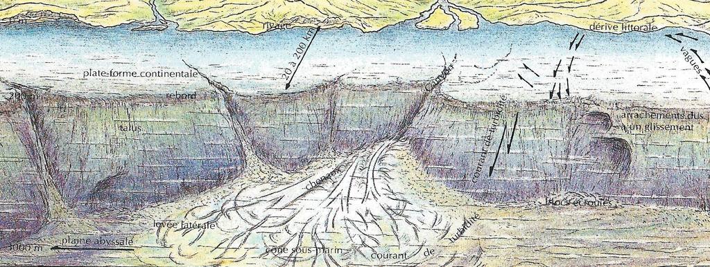 Genèse des flyschs Plate forme continental e émissair e Courant de turbidité Plaine abyssale C est un phénomène général avec les orogénèses.